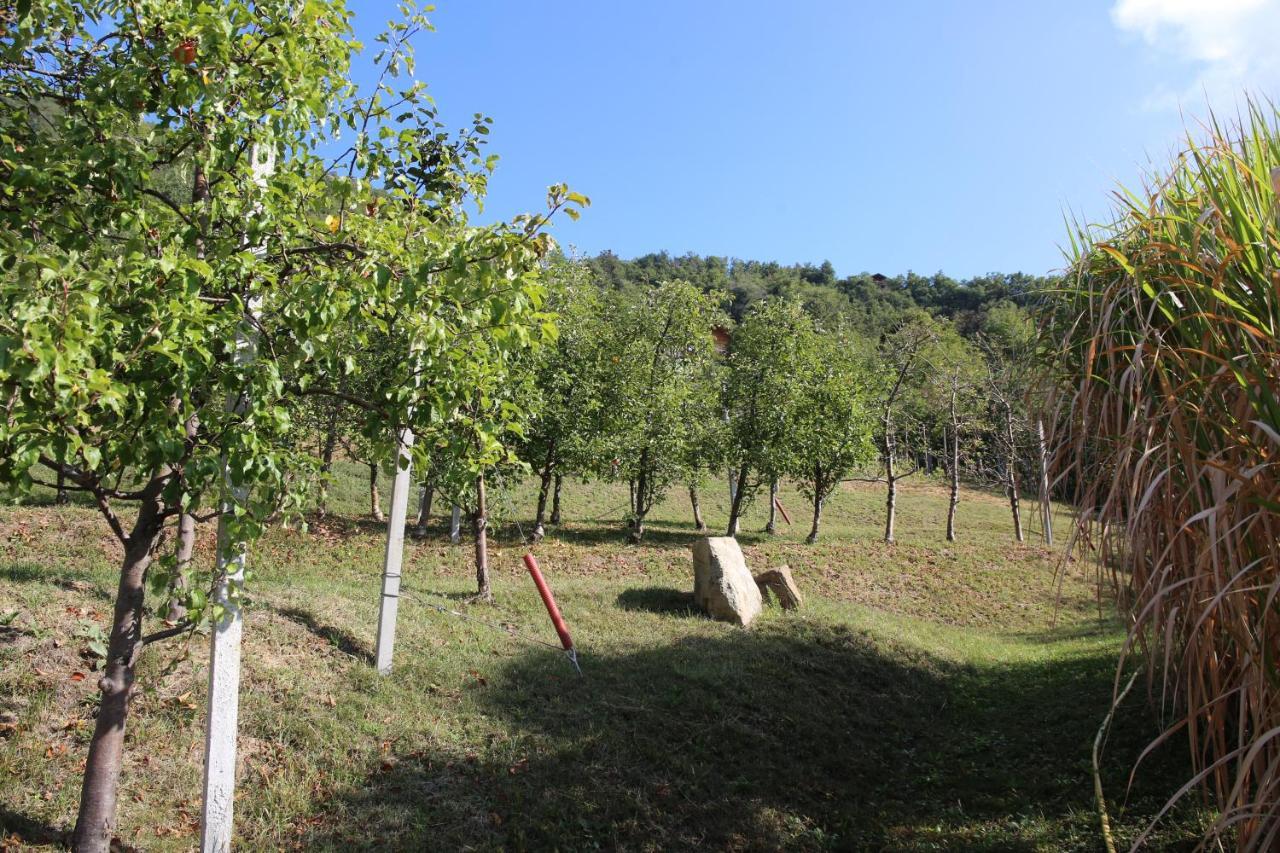 Ausserperskolerhof - Adults Only Fiè Dış mekan fotoğraf